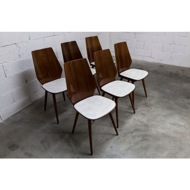 Baumann Model 840 G2S Chairs in Varnished Mahogany Finish, 1963, Set of 6 For Sale - Image 12 of 18