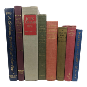 Vintage Decorative Literary Classics in Mixed Colors – Set of 8 Books