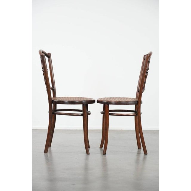 Vintage Wooden Bistro Chairs by Jacob & Josef Kohn Wien, Set of 6 For Sale - Image 3 of 18