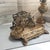Antique Italian Neo-Baroque Style Letter and Writing Accessory Stand: A Double Pen Holder and a Paper Tray For Sale - Image 6 of 14