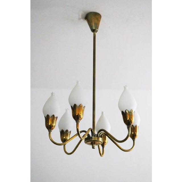 Mid-Century Modern Vintage Danish Tulip Chandelier in Brass and Opal Glass from Fog & Mørup, 1950s For Sale - Image 3 of 10