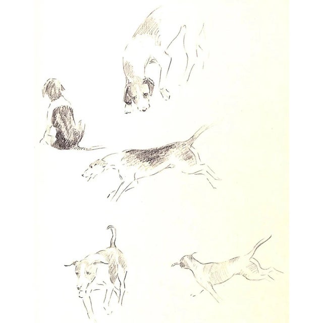 White "Hoofbeats: Drawings and Comments" 1938 Halpin, Warren T. For Sale - Image 8 of 12