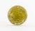 Paul Stankard Botanical Glass Paperweight, 2003 For Sale - Image 9 of 12