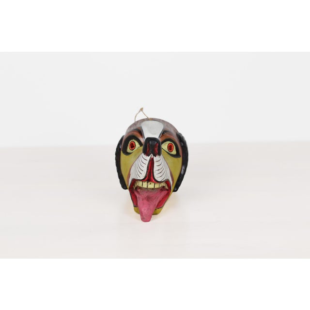 Mid 20th Century Mexican Folk Art Carved Wood Dog Mask For Sale In Lexington, KY - Image 6 of 13
