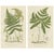 Victorian Hand-Colored Engravings of Rush and Sedge Plants, 1873, Set of 2 For Sale - Image 9 of 9