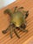 Mid-Century Bronze Crab Sculpture With Hinged Top, Brazil 1960s For Sale - Image 11 of 15