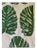 Bassett McNab Monstera Leaf "Banana Breeze" Fabric - 8 Yards For Sale
