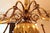 Gold Flemish 8-Armed Chandelier For Sale - Image 8 of 8