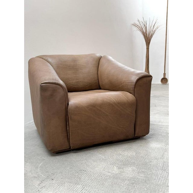 DS-47 Chair in Buffalo Leather from De Sede, Switzerland, 1970s For Sale - Image 14 of 14