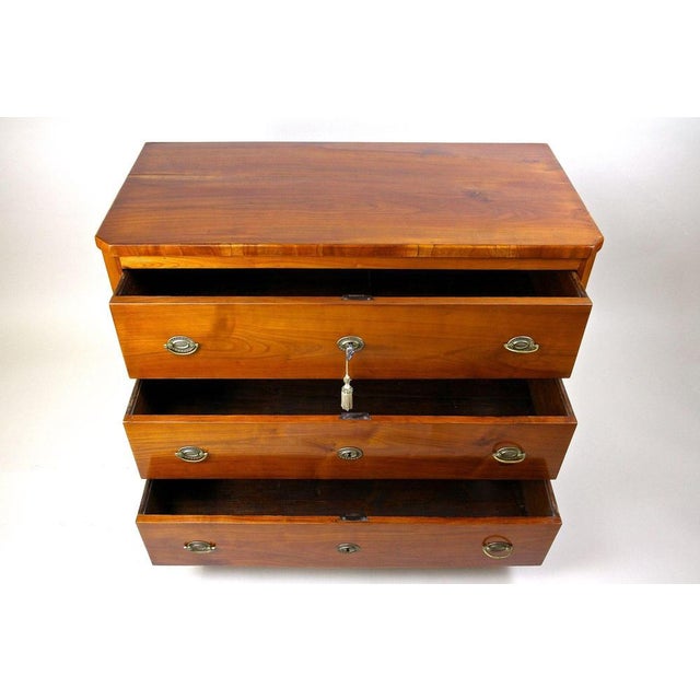 Early 19th Century Biedermeier Cherrywood Chest of Drawers, Austria, 1830s For Sale - Image 5 of 18