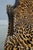 Pair of Cheetah Print Louis XVI Style Bergere Chairs For Sale - Image 15 of 18