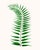 British Fern Contemporary Reproduction Print Collection, Set of 12 For Sale In Los Angeles - Image 6 of 9