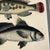 1826 Antique Hand-Colored Fish Lithograph | Archivally Matted For Sale - Image 4 of 4