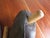 Antique 1930s Custom Made Leather Thumbless Boxing Gloves With Wooden Inserts For Sale - Image 4 of 13
