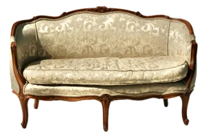 Early 20th Century Louis XV Style Settee With Goose Down Seat and Carved Walnut Frame