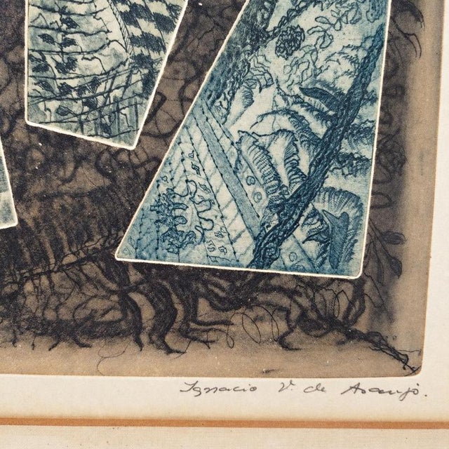 Ignacio V. De Araujo, Gardens, Color Engraving on Paper, Framed For Sale - Image 4 of 9