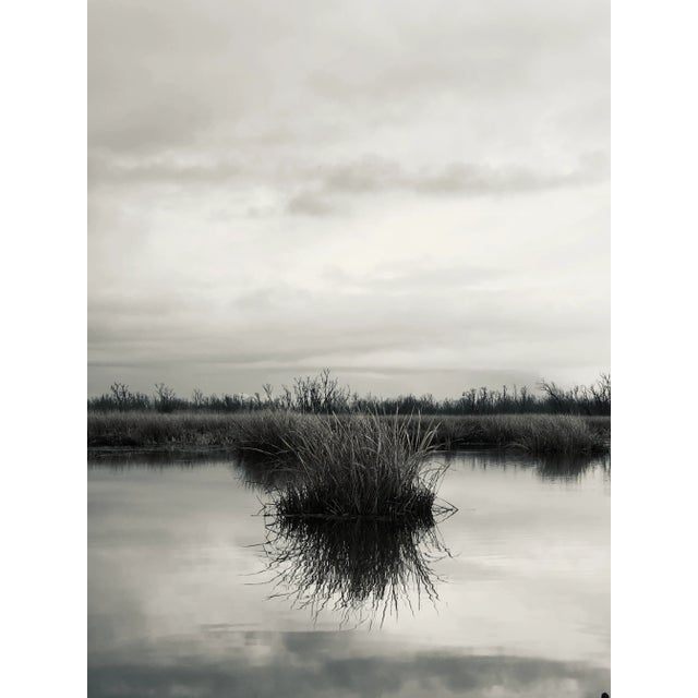 Chelsea Fly Abstract Landscape Photograph #3 "Marsh Island" For Sale