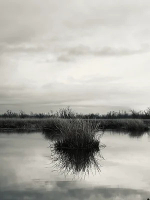 Chelsea Fly Abstract Landscape Photograph #3 "Marsh Island"