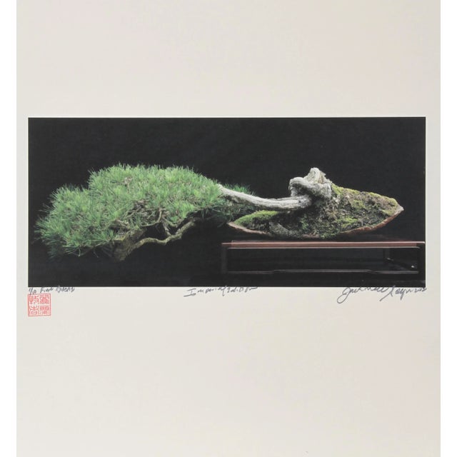 Imperial Series XI Jonathan Singer American (1949–2019) Date: 2012 Digital Photograph on Laid paper, signed and numbered...