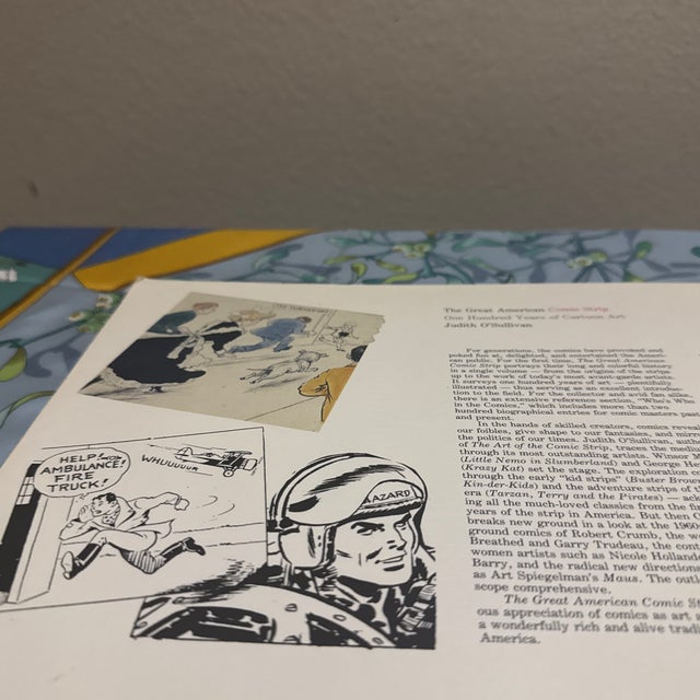 The Great American Comic Strip Judith O'Sullivan 1990 Trade Paperback Vintage Book For Sale - Image 9 of 10