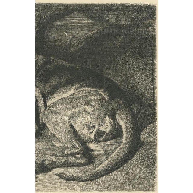 19th Century W. Wise, Sleeping Hound with a Plumed Helmet, 1880, Etching For Sale - Image 5 of 9