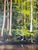 2000 - 2009 Vintage J. H Riley “Sunlit Cypress” Impressionist Acrylic on Canvas Painting, Framed For Sale - Image 5 of 12