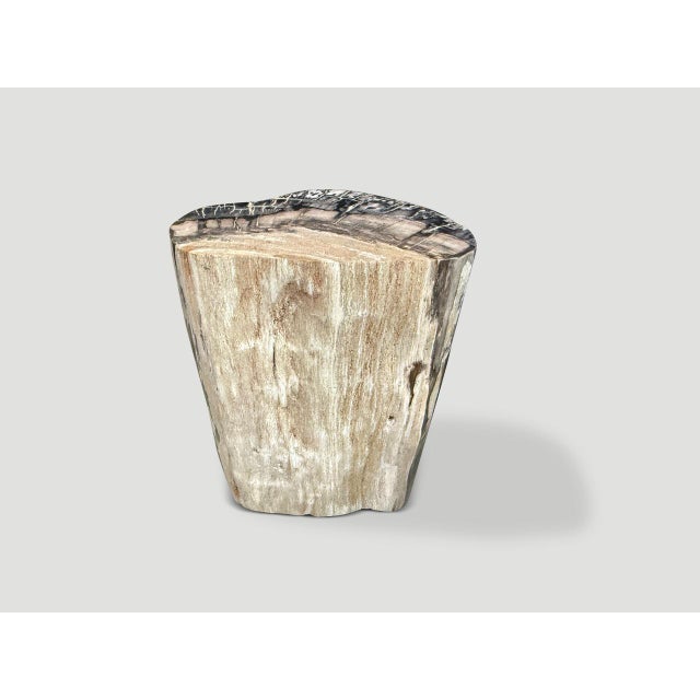 Impressive beautiful grey tones on this ancient petrified wood side table. It’s fascinating how Mother Nature produces...