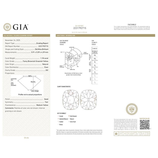 Gia Certified 18k 750 Solid White Gold Natural Diamond and Ruby Engagement Ring, Size 7 For Sale - Image 11 of 11