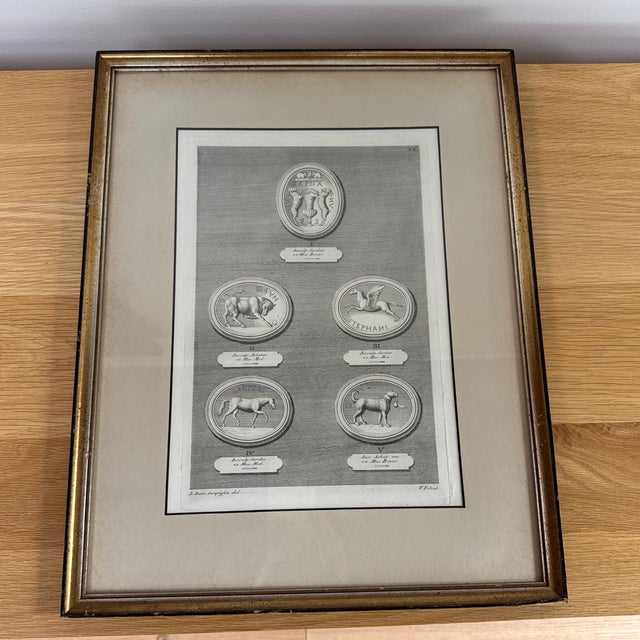 Beautifully framed engraving of classical intaglios or cameos by Giovanni Domenico Campiglia (1692-1768). These types of...