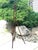Wood Late 19th Century, Victorian, Walnut, Stick and Ball, Display Easel With Brass Chain For Sale - Image 7 of 9