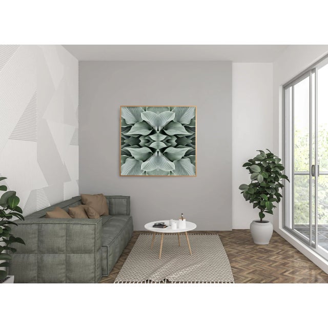 Limited Edition Fine Art Photography by Erin Derby. This piece is custom framed in an 3/8" antiqued gold metal frame @ 1 &...