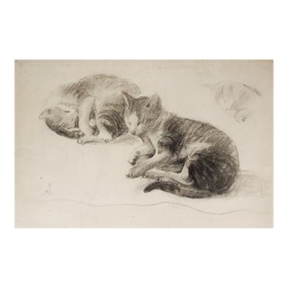 Late 19th Century Cat Study Drawing For Sale
