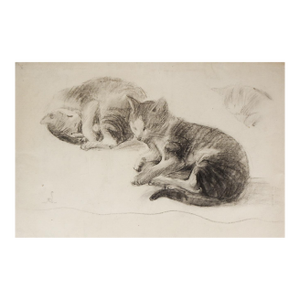 Late 19th Century Cat Study Drawing