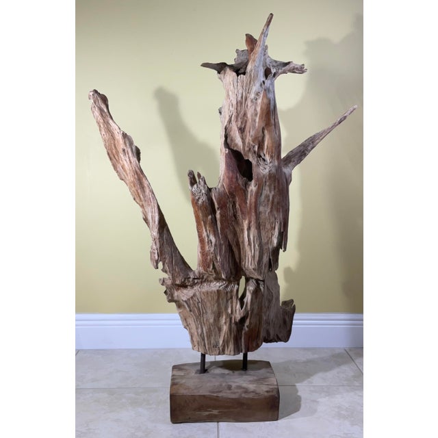 1900 - 1909 Large Natural Abstract Driftwood Sculpture For Sale - Image 5 of 12