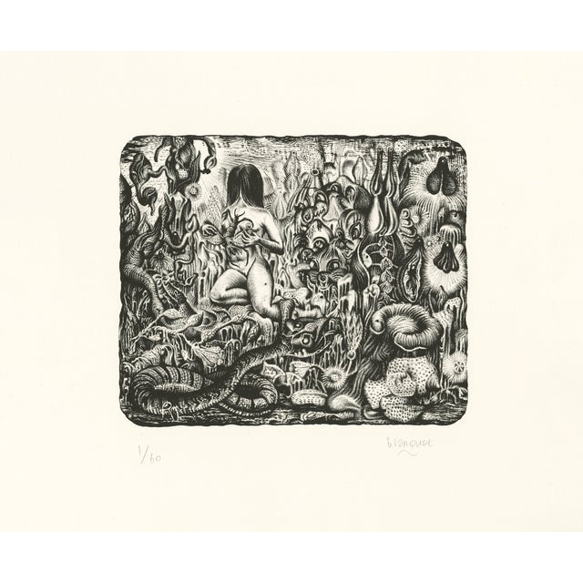 Stéphane Blanquet, Majesté Furtive, 2016, Lithograph For Sale