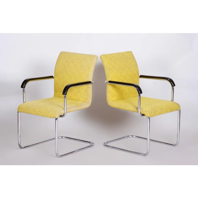 Wood Set of Bauhaus Armchairs in Beech & Chrome, 1930s For Sale - Image 7 of 12