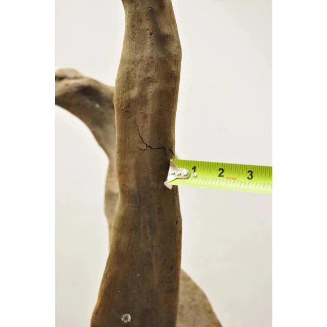 Brown Vintage Abstract Sculpted Wood Sculptural Free Form Table Sculpture Statue For Sale - Image 8 of 12