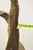 Brown Vintage Abstract Sculpted Wood Sculptural Free Form Table Sculpture Statue For Sale - Image 8 of 12