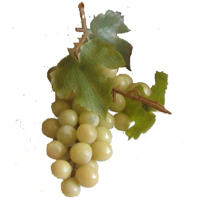 MidCentury Rubber Grapes, Set of 6 Chairish