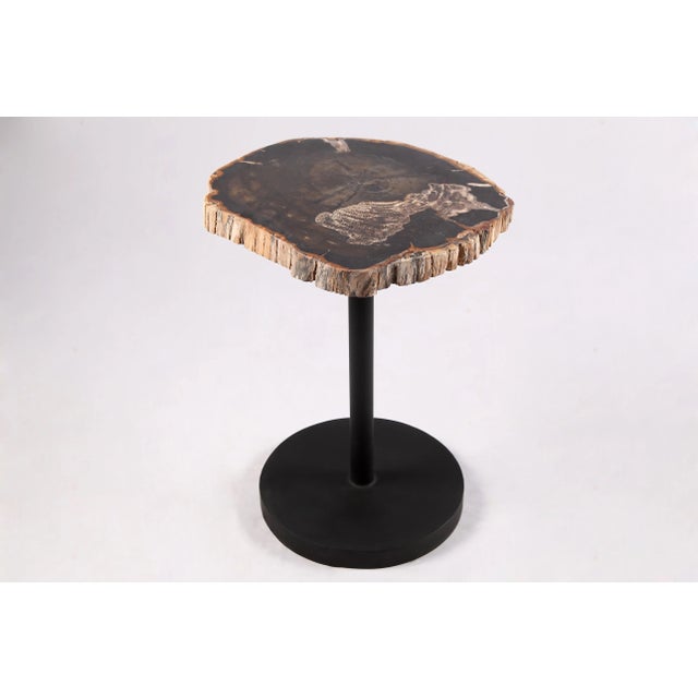 2020s Living Edge Petrified Wood Top W Black Metal Stand Accent Table or Side Table 62 For Sale - Image 5 of 5