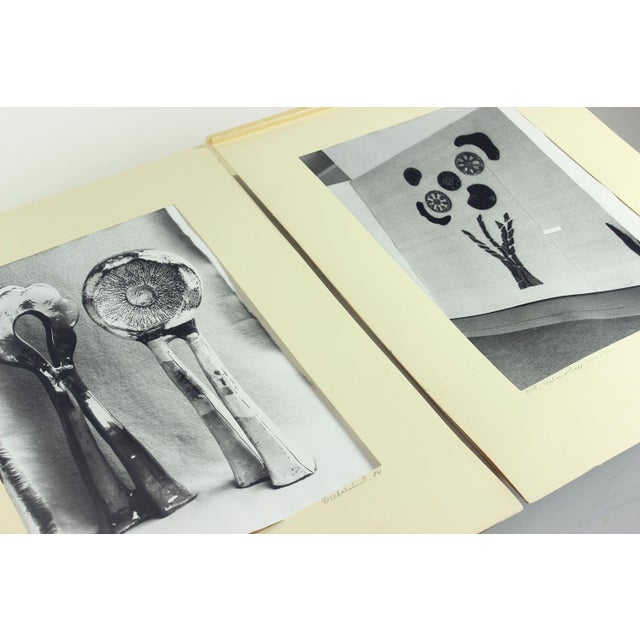 Ceramic Artwork by Ditta Abrhamova, Czechoslovakia, 1980s, Large Photographs, Set of 2 For Sale - Image 4 of 12