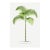 Vintage Palm Tree Illustration, Botanical Art Print Reproduction, 32" X 48" For Sale
