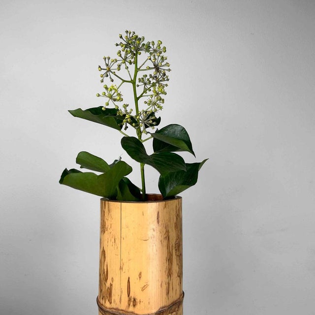 花瓶・フラワースタンド 1950's Mid century vintage flower vase Amazon.com : Planter with Stand 50s Mid Century Modern