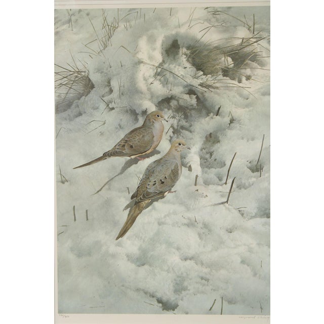Raymond Harris-Ching Limited Edition Print, 'Mourning Doves' For Sale - Image 9 of 12