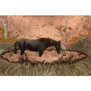 Lowland Savior by Dana Hawk | Oil and Copper on Panel Horse standing near a figure in a natural setting. For Sale