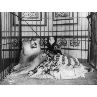 Early 20th-C. True Lion Tamer Circus Photography For Sale