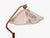 1950s 1950s Markslöjd, Swedish Modern, Adjustable Floor Lamp, Pine, Fabric For Sale - Image 5 of 17