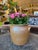 Ceramic Grès De Bonny French Ceramic Planter For Sale - Image 7 of 8