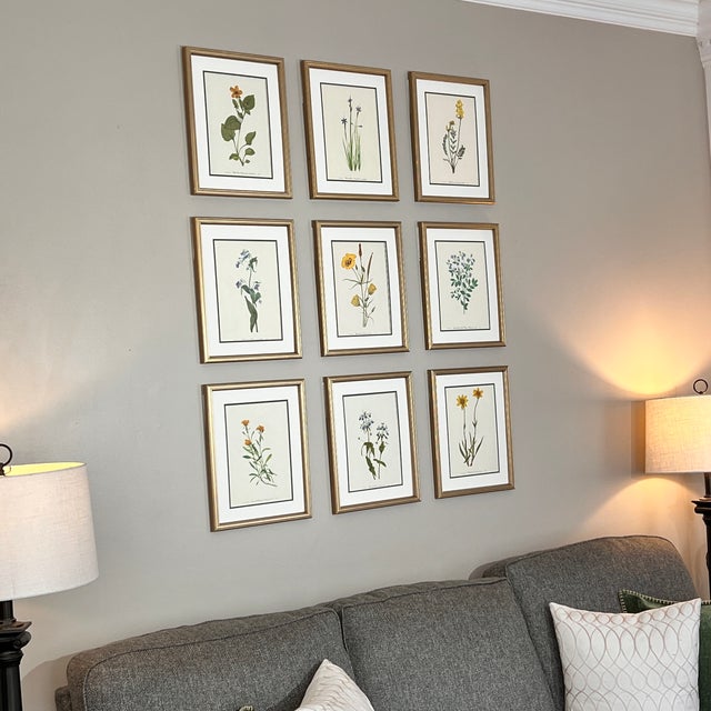 Mid-Century Modern Framed Vintage Botanical Prints -Set of 9- Authentic Vintage 1960s Prints For Sale - Image 3 of 4
