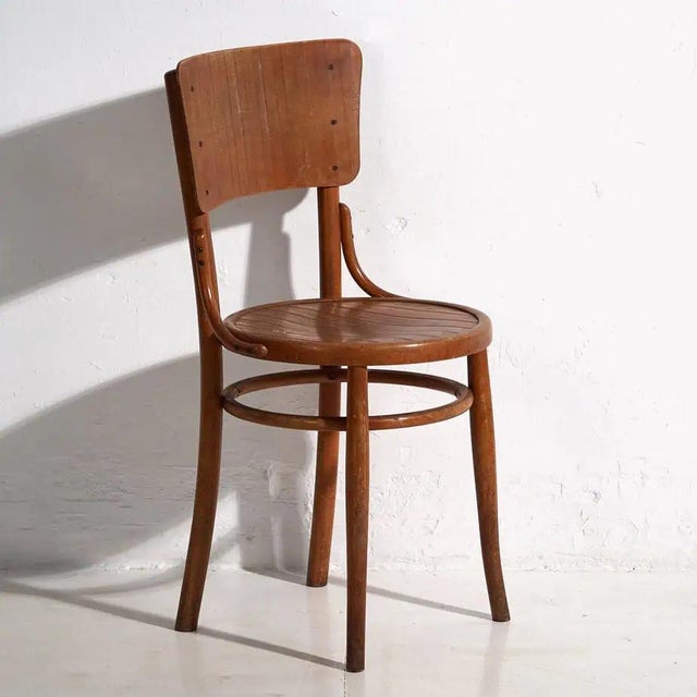 Set of Chairs from Thonet, 1900s For Sale - Image 10 of 13